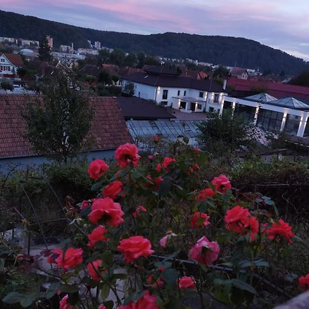 Hotel Casa Adam Sighișoara Zewnętrze zdjęcie