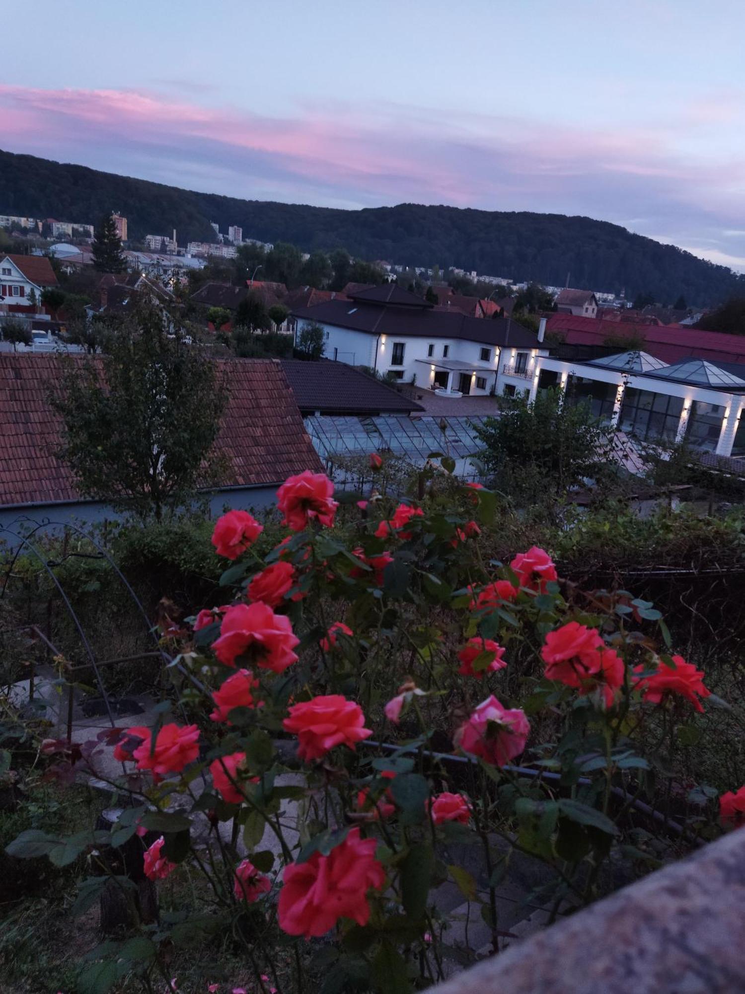 Hotel Casa Adam Sighișoara Zewnętrze zdjęcie