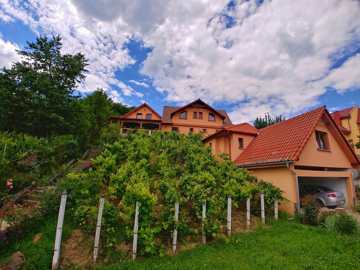 Hotel Casa Adam Sighișoara Zewnętrze zdjęcie