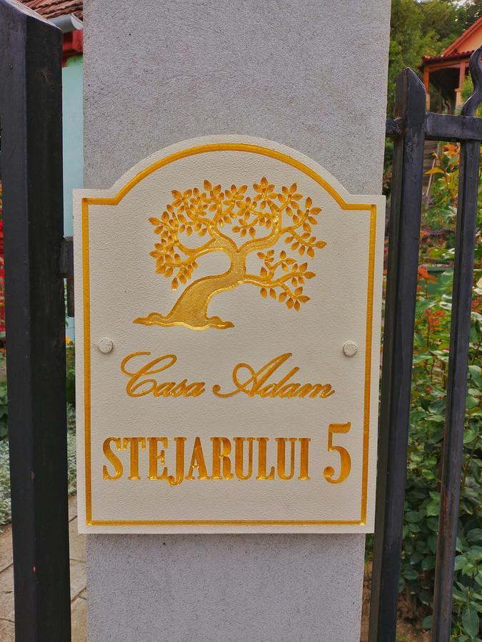 Hotel Casa Adam Sighișoara Zewnętrze zdjęcie